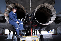 Flickr - Israel Defense Forces - Airplane Technician, March 2010.jpg
